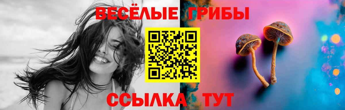 где найти   Псилоцибиновые грибы GOLDEN TEACHER  Вход с VPN  Калининград 